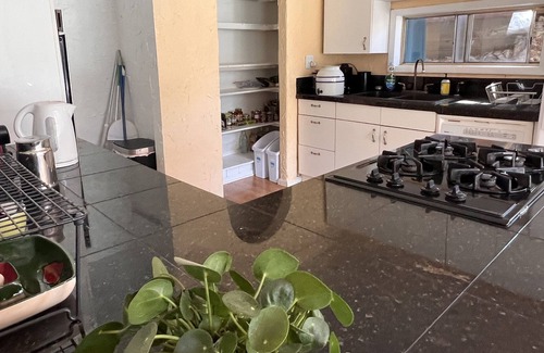 Idaho Springs House | Windows Huge, Light, Southern Facing, Hot-Tub on Deck, 5 Min. Walk Downtown