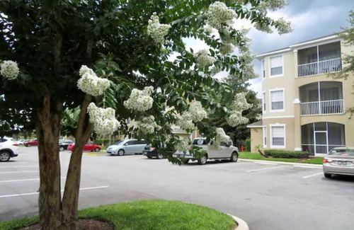 Windsor Palms House | Windsor Palm Resort Top Floor 2BR Disney Area