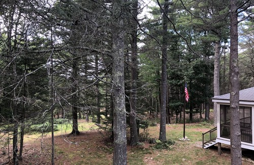 Georgetown House | "Windy Hill". Comfortable, Quiet, & Secluded