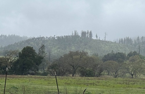 Junior College Neighborhood Association Cottage | Wine country: Charming 2-bedroom cottage with WiFi in delightful Santa Rosa