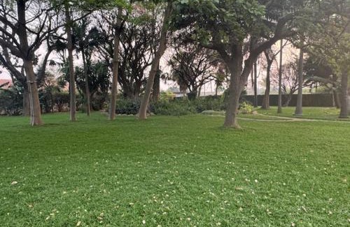 Lusaka Hotel | Winnetka Livre