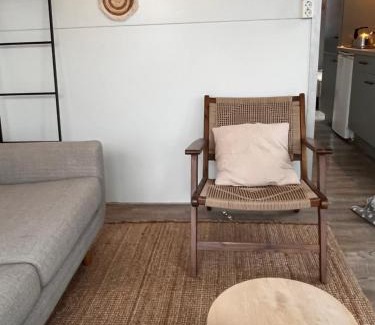 Monnickendam Boat Rental | Winter at our Houseboat "Oslo"