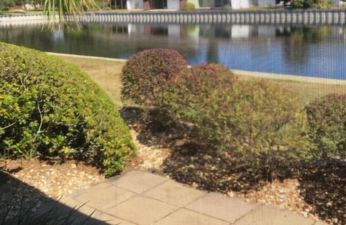 Grenelefe Condo | WINTER ESCAPE - Heart of Florida