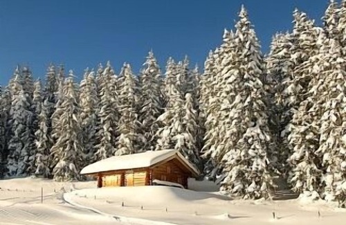 Saalbach-Hinterglemm Apartment | Winter/Summer Sports in Chalet Apartment Chalet in Saalbach Hinterglemm and close to Zell am See