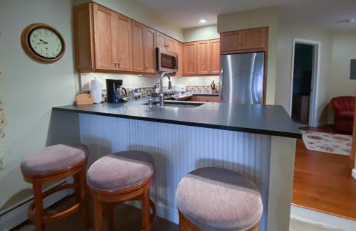 Ludlow Apartment | Winterplace K102
