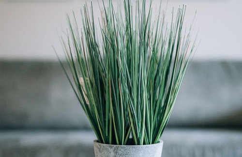 Stockton-on-Tees Other | Wiske House | Workstays UK