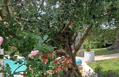 Grez-Neuville Apartment | Within walking distance: Rivers, Chateaux, Parks, Vélo Francette, accommodation with swimming pool