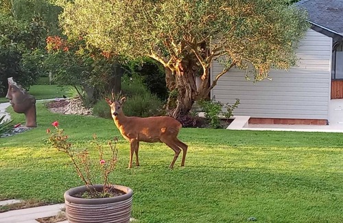 Grez-Neuville Apartment | Within walking distance: Rivers, Chateaux, Parks, Vélo Francette, accommodation with swimming pool