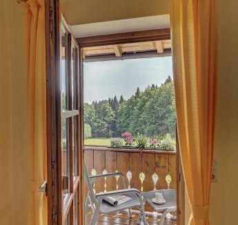 Spiegelau Apartment | Wohnung Falkenstein
