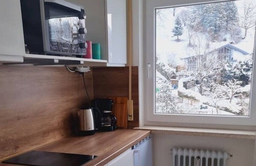 Immenstadt im Allgaeu Apartment | Wohnung mit Herrlichem Bergblick