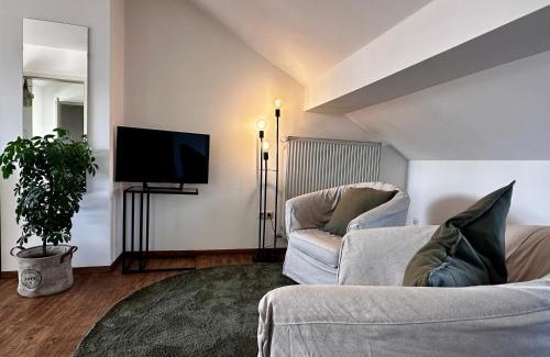 Wuerzburg Apartment | Wohnung nähe alte Mainbrücke
