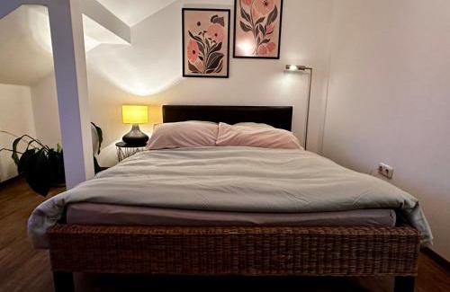 Wuerzburg Apartment | Wohnung nähe alte Mainbrücke