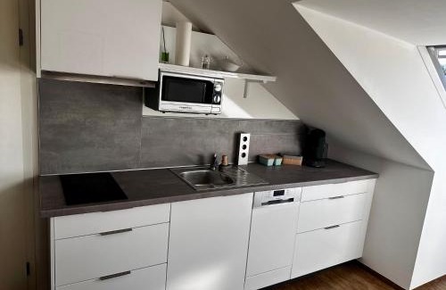 Wuerzburg Apartment | Wohnung nähe alte Mainbrücke