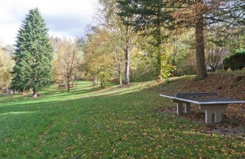 Wehrstapel Apartment | Wohnung nahe dem Skigebiet in Wehrstapel