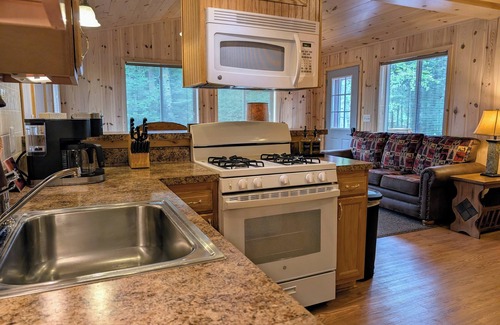 Sayner Cabin | Wolf Point Cabin | Firepit, Hammock, Lake Access, Dogs OK w/fee