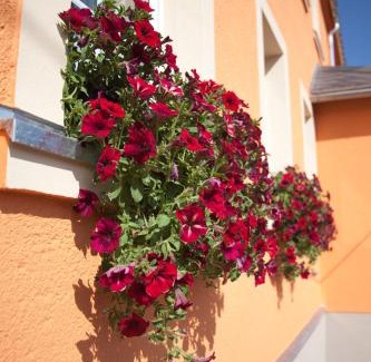 Dorfchemnitz Hotel | Wolfsgrunder Festhof