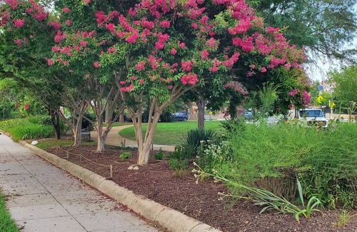 Petworth Apartment | Wonderful 2-Bedroom Apartment in Great Location in Washington DC