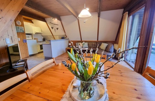 Bad Arolsen House | Wonderful private villa for 5 people with WIFI, TV and patio