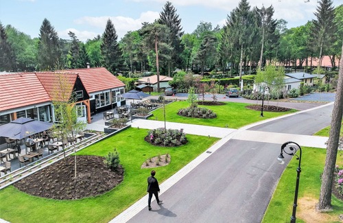 Bosgebied Hoenderloo House | Wonderful private villa for 10 guests with WIFI, pool, TV and terrace