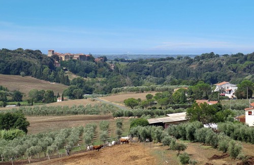 Bibbona Villa | Wonderful private villa with WIFI, private pool, A/C, TV, pets allowed, panoramic view and parking