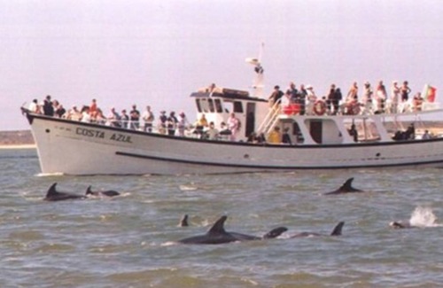 Setubal House | Wonderful room with a view to the sea and mountain-Setúbal