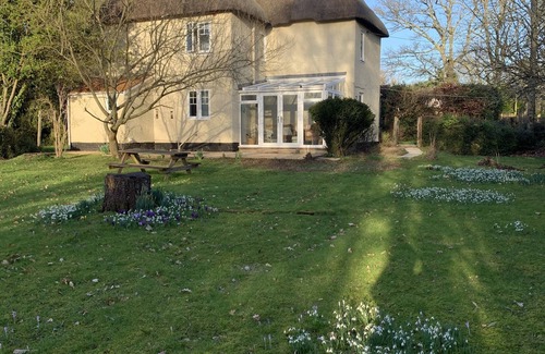 New Forest District House | Wonderful thatched cottage in The New Forest