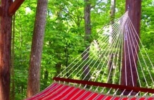 Candler House | WONDERFUL VIEWS, 5 Bedroom, sleeps up to 14, Skiing, Billiards, Ping Pong, Large Hot Tub, Campfir...