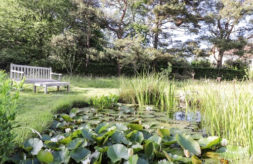 Heathfield Cottage | WOOD GLEN COTTAGE, romantic, with open fire in Rushlake Green