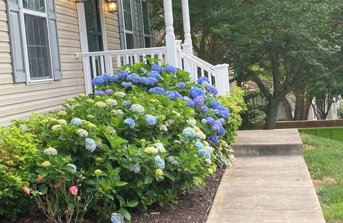 Bennsville House | Wooded Hillside Retreat in Waldorf, MD - Top 10% and Guest favorite elsewhere
