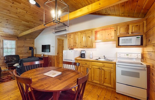 Northport Cabin | Wooded view cabin near hiking trails with kitchen & fireplace - dog-friendly