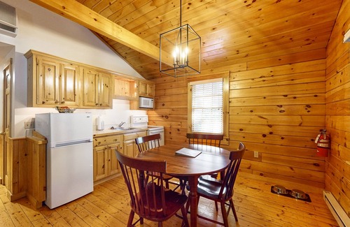 Northport Cabin | Wooded view cabin near hiking trails with kitchen & fireplace - dog-friendly