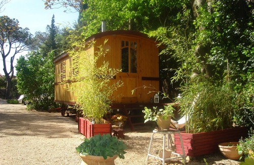 Villeneuve-les-Avignon House | Wooden Bulgarian caravan in a wooded garden