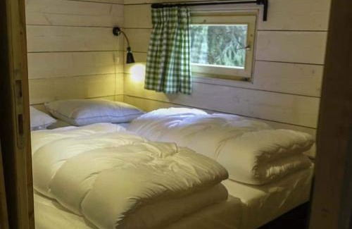 Ruinen Ski Chalet | Wooden lodge near three national parks