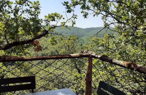 Salvagnac-Cajarc House | Wooden tree house