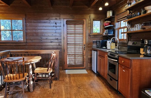 Cheshire Cabin | Woodpecker’s Hollow | Cabin w/Fireplace + Views + Biltmore Pass