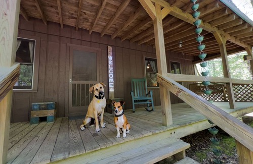 Cleveland Cabin | Woods Retreat at Table Rock