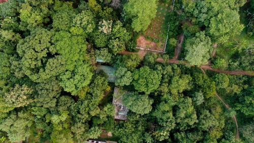 Sigiriya House | Woodsy Villa