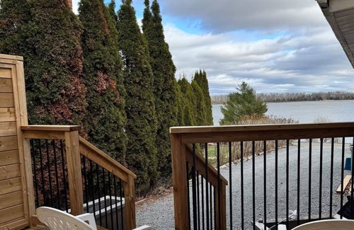 Scugog House | Work from Cottage: bring pets and family to the lake house with premium office
