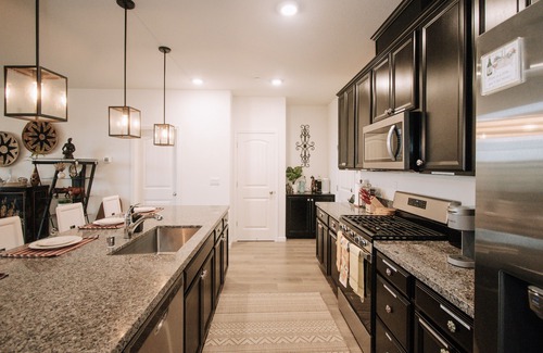 North Natomas House | Worldly ~ Whimsical ~ Wonderful