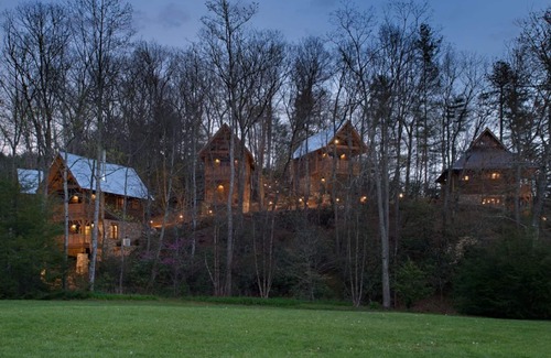 Cheshire Cabin | Wren’s Den | Cozy Cabin w/Fireplace + Jetted Tub + Biltmore Pass
