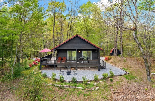 Piney Mountain House | Writer's Block - Big View, Fire Pit, Great Getaway