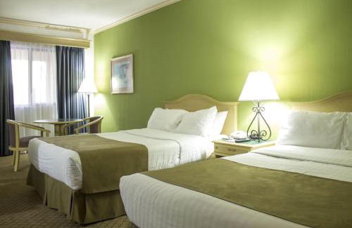 Ciudad Obregon Hotel | Wyndham Garden Obregon