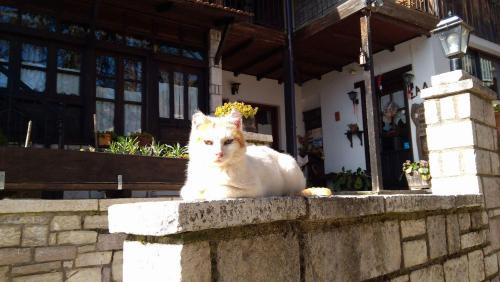 Elati House | Xenonas Brizi