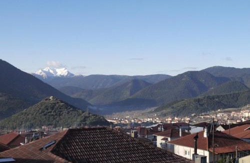 Karpenisi Apartment | Xenonas Drimos