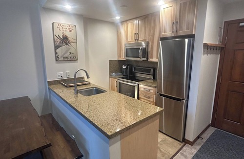 Upper Village Condo | XL Luxury Penthouse. Aspens. Ski-in-out. King.3hot tubs.BBQ.Decks. Notate bene!