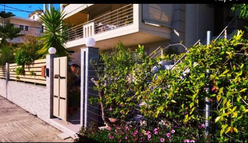 Mesolongi Apartment | Xrysa's Garden