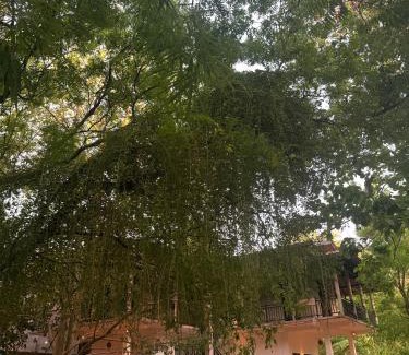 Yodakandiya Cabin | Yala Taman