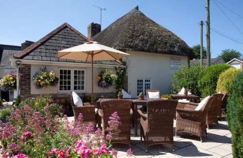 Dorchester House | Yalbury Cottage