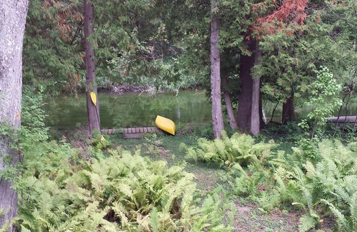 Lake Ann Cottage | Year Round Fun and Solitude too