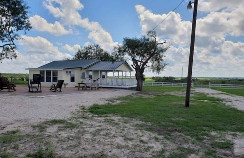 Pettus House | Yellow Rose